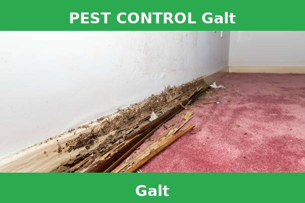 PEST CONTROL Galt